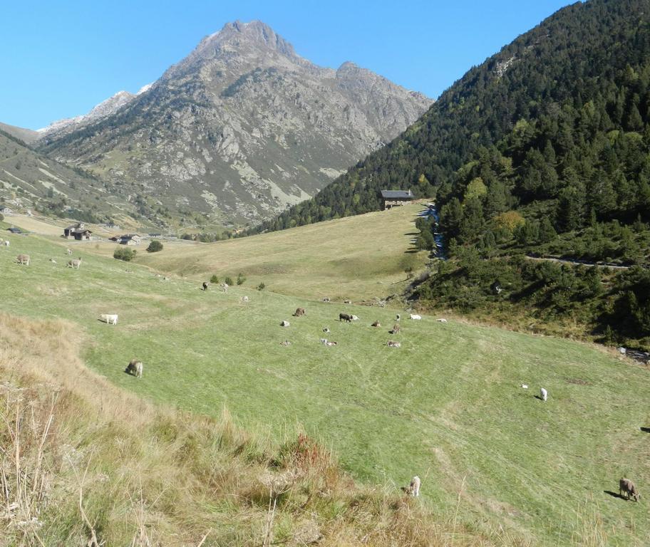 Hotel Peretol Soldeu Kültér fotó